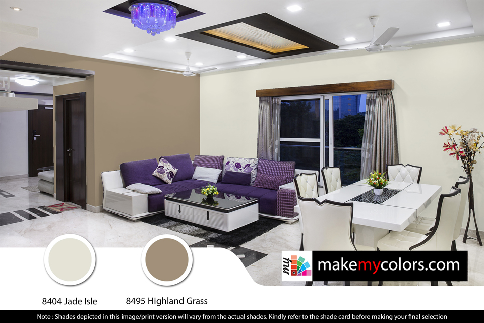 Asian Paints Light and Elegent Living room color combinations 012