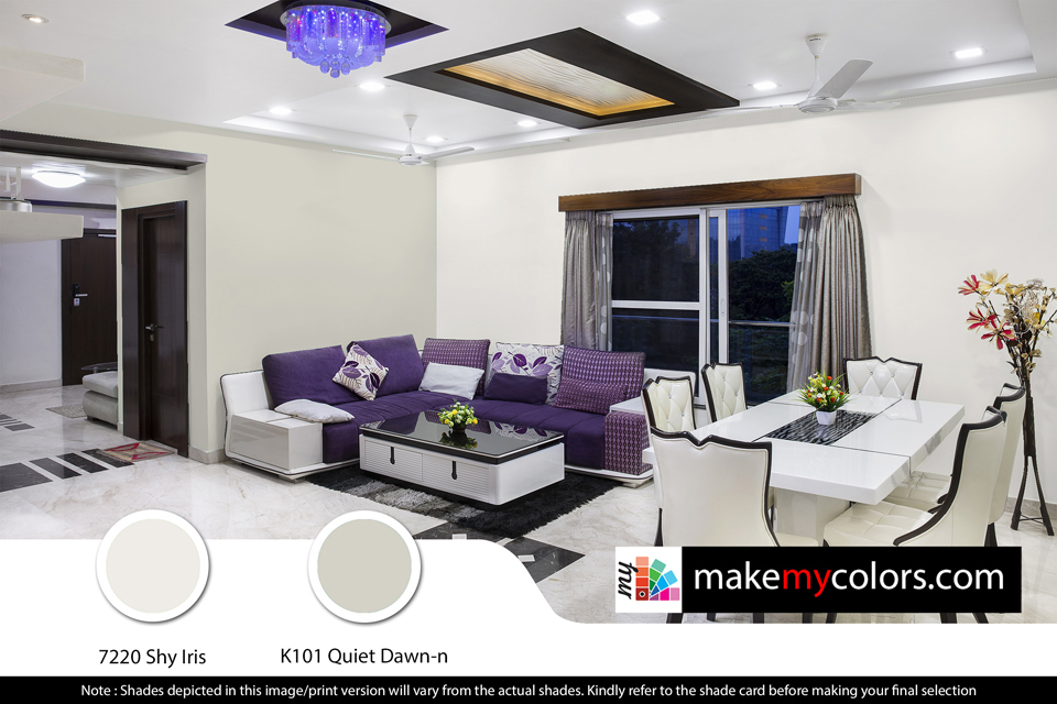 Asian Paints Light and Elegent Living room color combinations 017