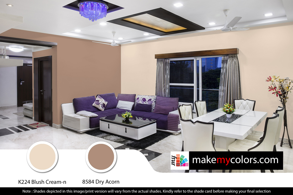 Asian Paints Light and Elegent Living room color combinations 018